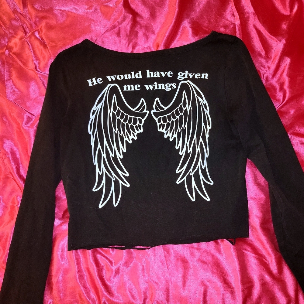 angel wings 🪽 ˚₊‧꒰ა 𓂋 ໒꒱ ‧₊˚ black long sleeve distressed crop top